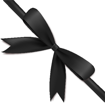 Black Ribbon Bow Vector