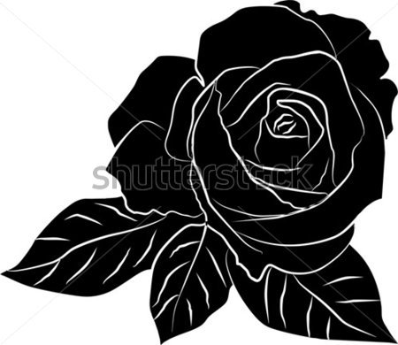 Black Rose Silhouette Black Rose Silhouette