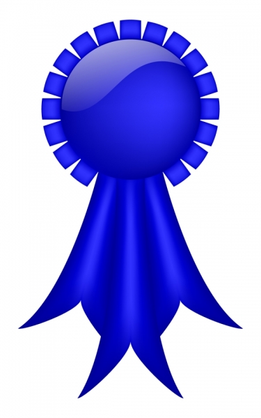 Blue Ribbon Vector