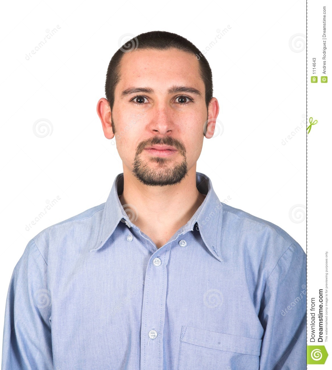 Business Man Portrait Business Man Portrait