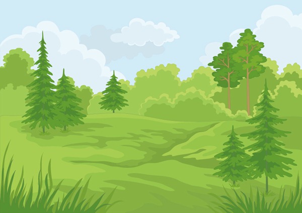 Cartoon Forest Landscape