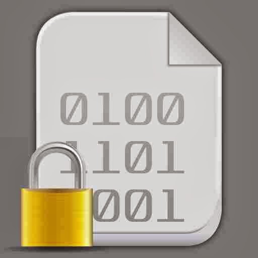 Data Encryption Icon