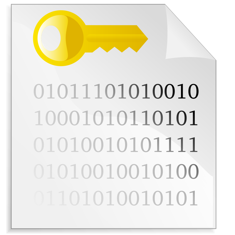 Encrypted File Icon