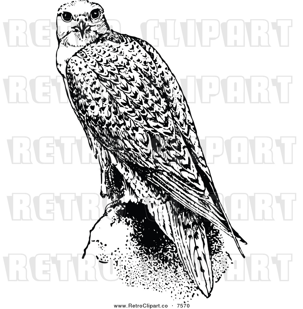 Falcon Clip Art Black and White