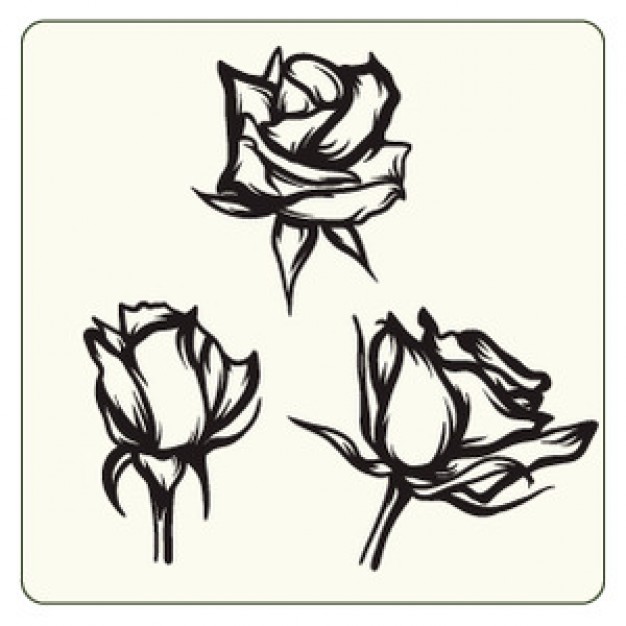 Free Vector Black and White Rose