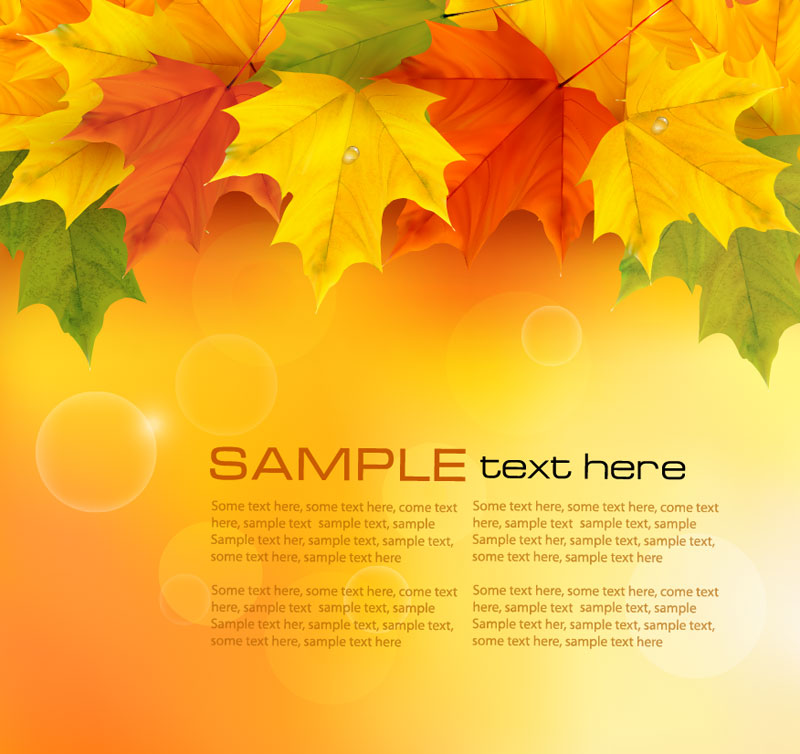 Free Vector Fall Leaves