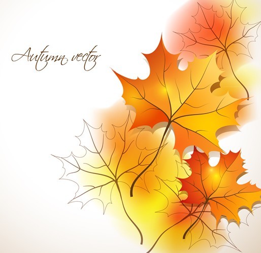 Free Vector Maple Leaves
