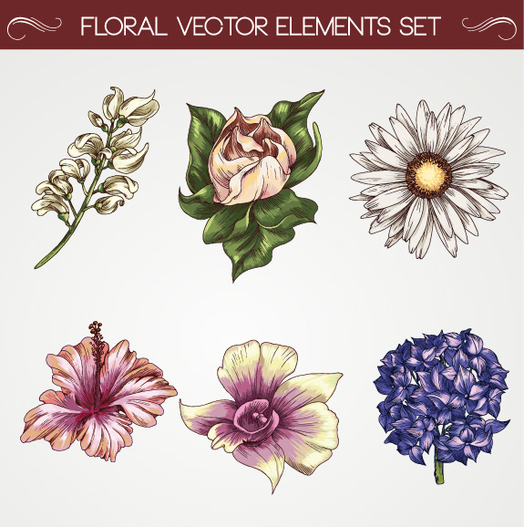 Free Vintage Vector Flower