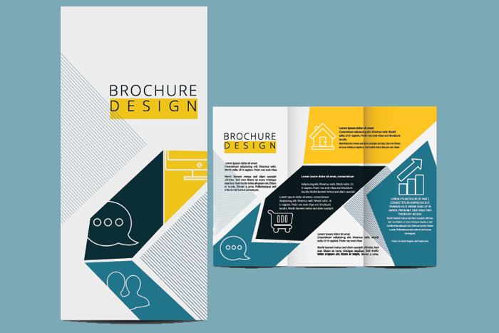 Graphic Design Brochure