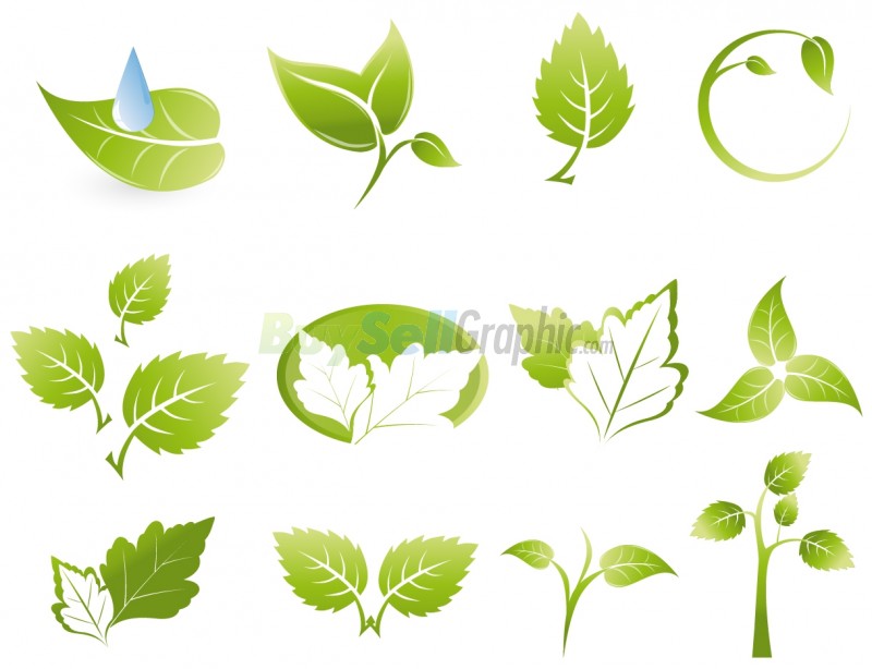 Green Leaf Icon