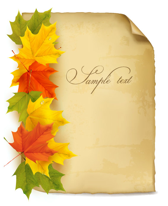 Maple Leaves Background