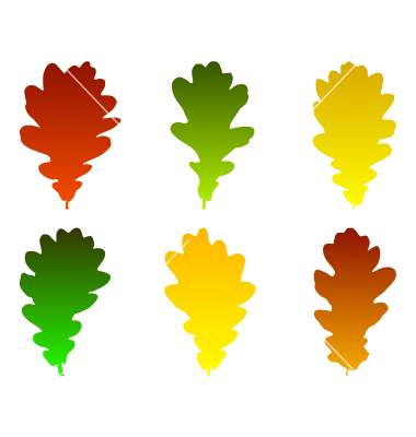 Oak Leaf Vector