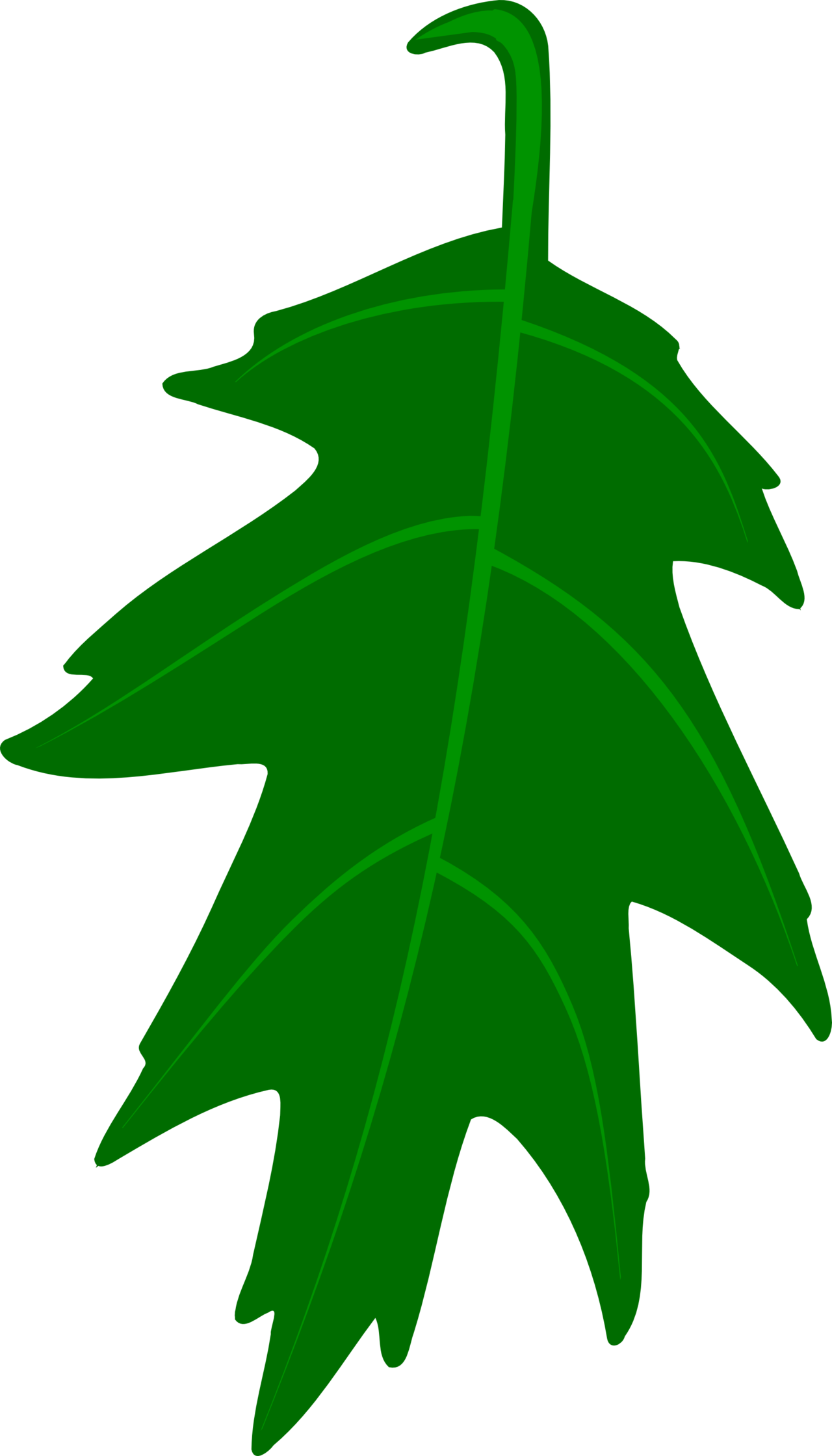 Oak Leaf Vector