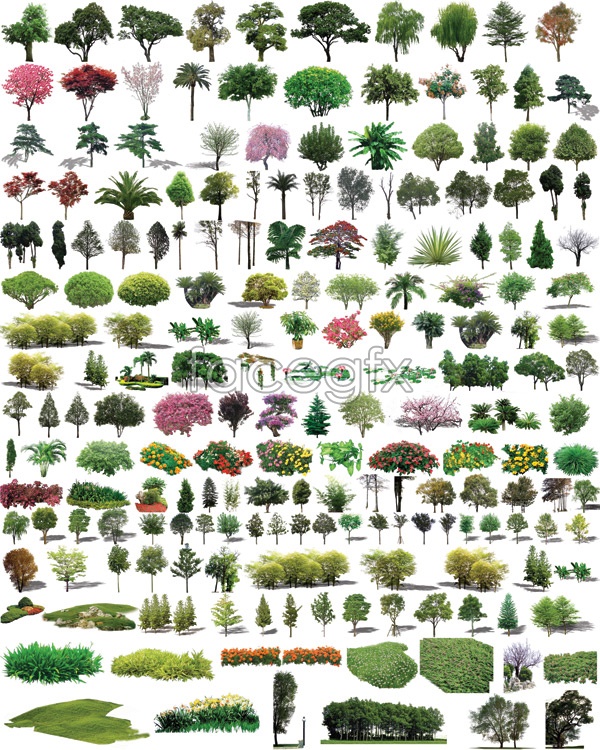 Photoshop Plants and Shrubs