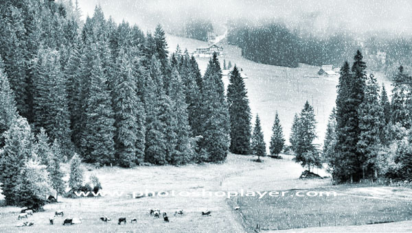 Photoshop Snow Effect Photoshop Snow Effect