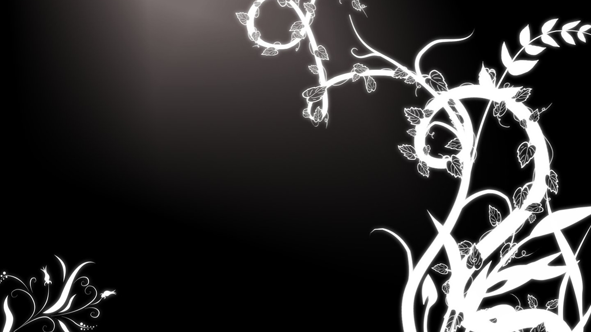 Pretty Black and White Designs Pretty Black and White Designs