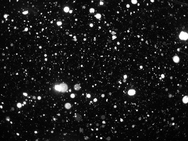 Snow Falling Texture Snow Falling Texture