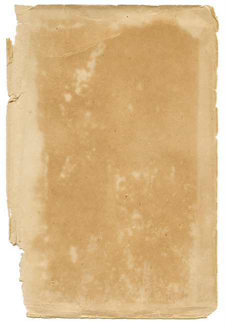 Torn Paper Texture Torn Paper Texture