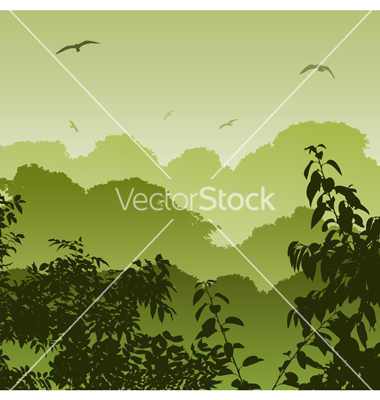 Vector Landscape Forest