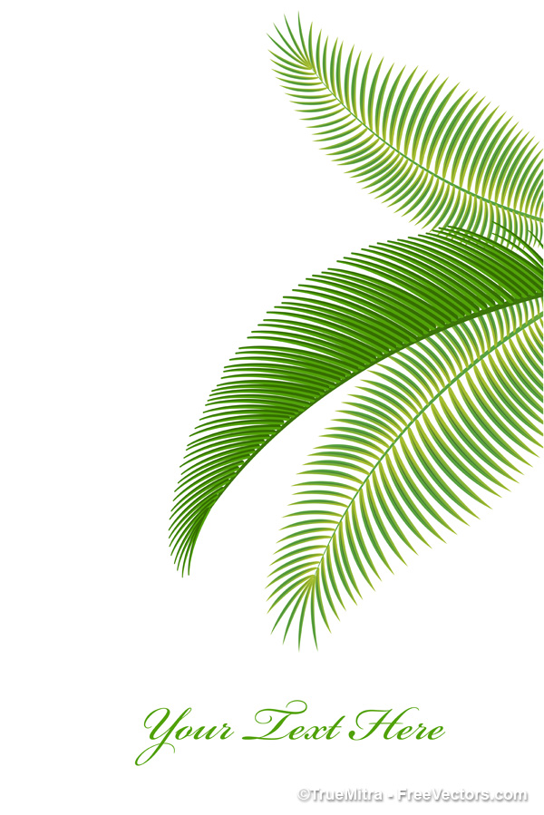 Vector Palm Tree Leaf