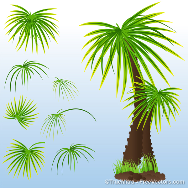 Vector Palm Tree Leaf