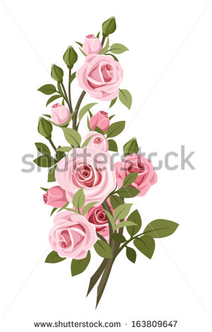 Vintage Pink Roses Vector