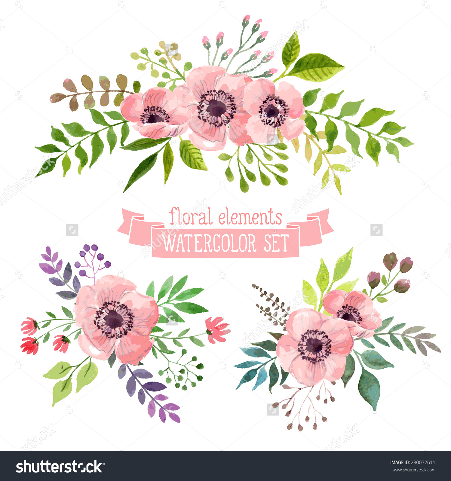 Watercolor Flower Drawings