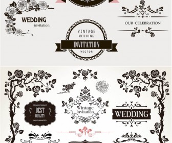 Wedding Floral Vector Designs