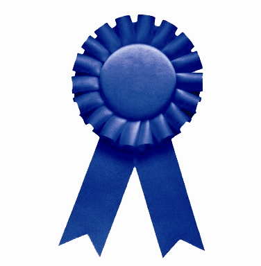 11 Blue Ribbon Icon Images