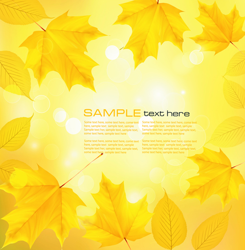 Yellow Autumn Leaves Vector