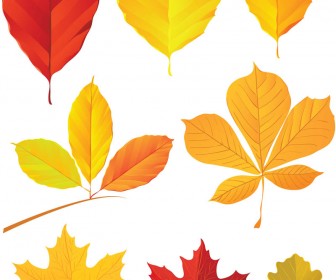 Yellow Fall Leaves Clip Art