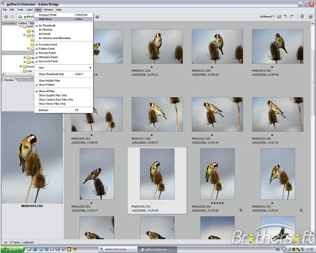 16 Adobe Photoshop 9.0 Free Download Images