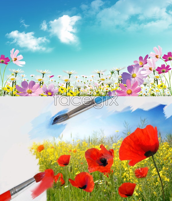 Beautiful Flower PSD