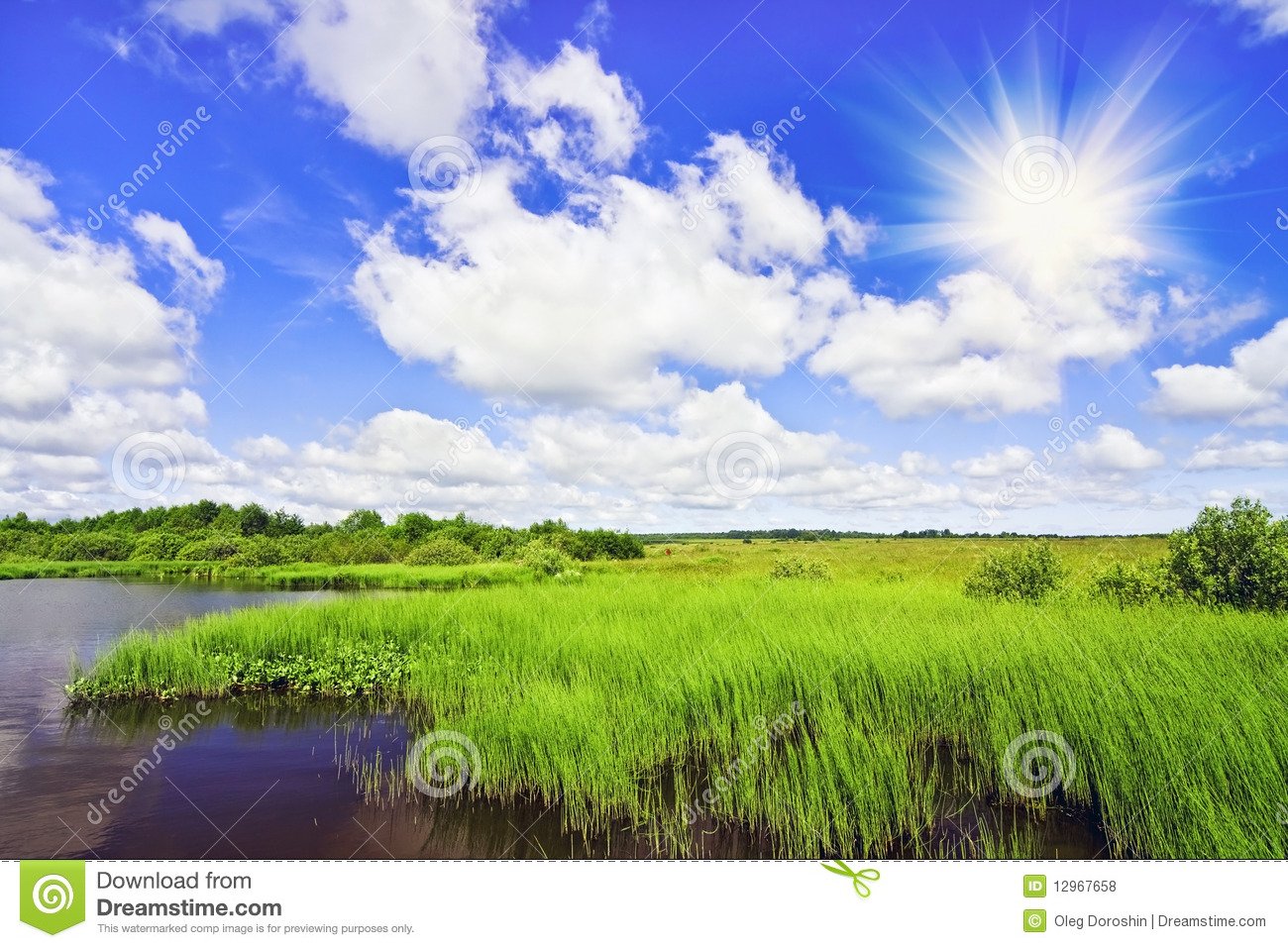 Beautiful Sunny Day Desktop Wallpaper