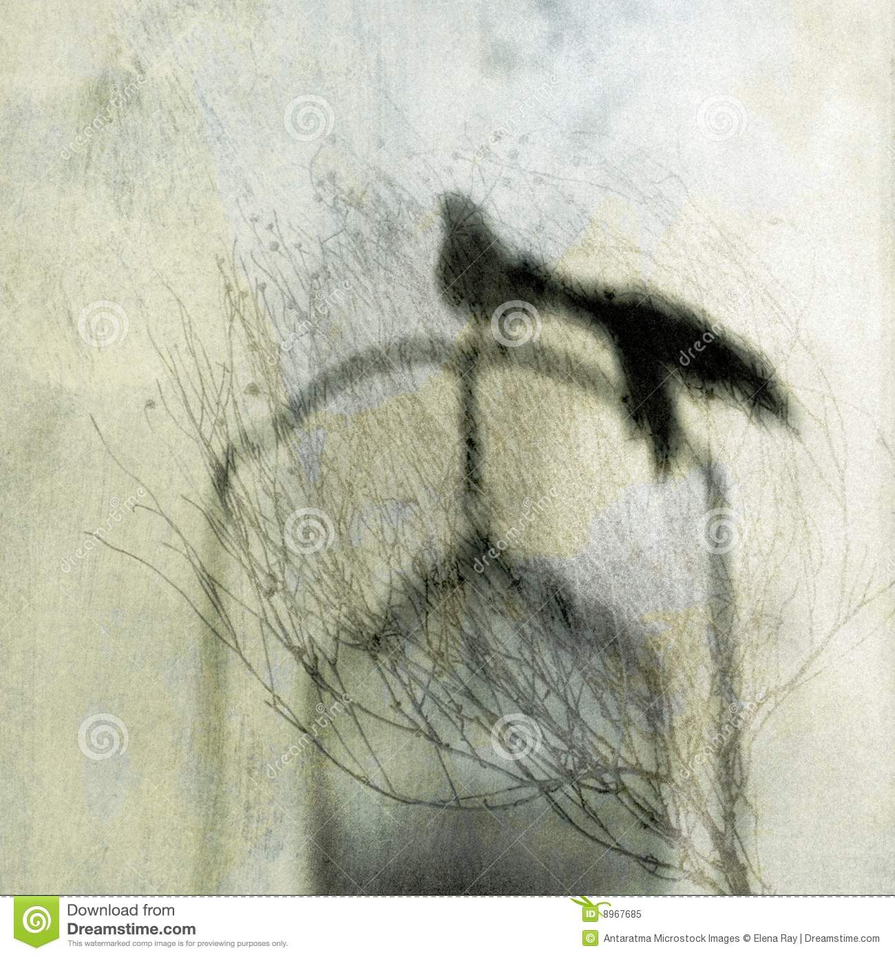 Bird Stock Royalty Free Bird Stock Royalty Free