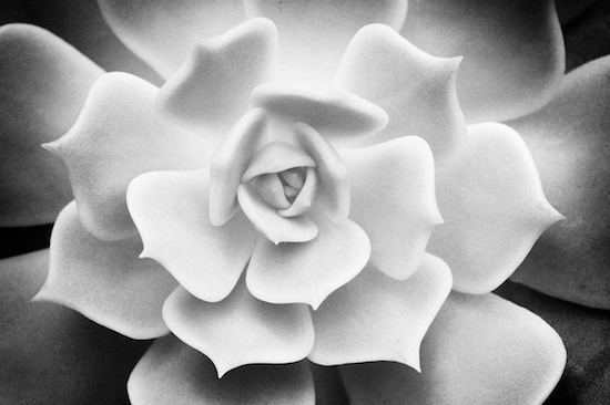 15 Black And White Photography Art Images