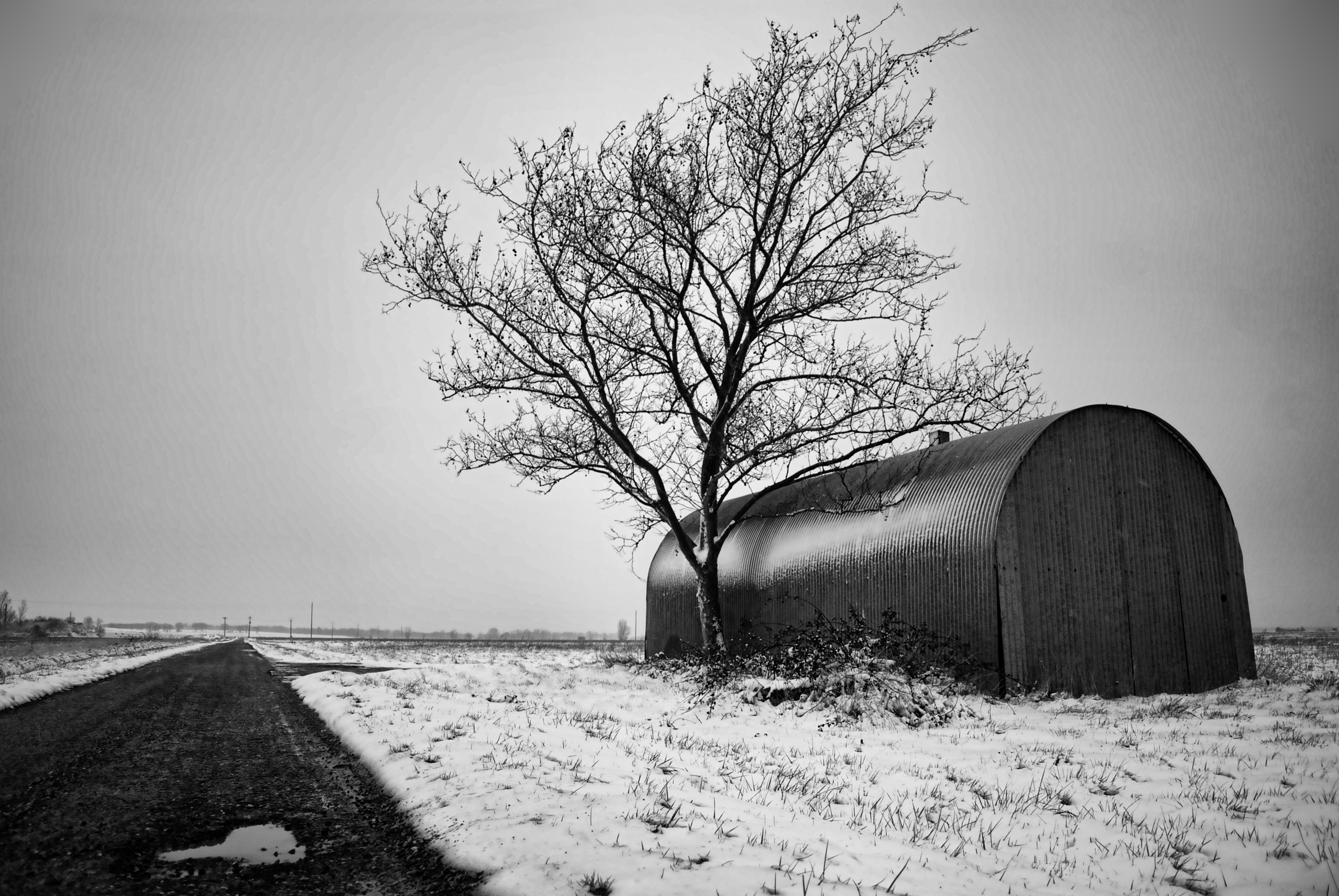 Black and White Fine Art Photography Black and White Fine Art Photography