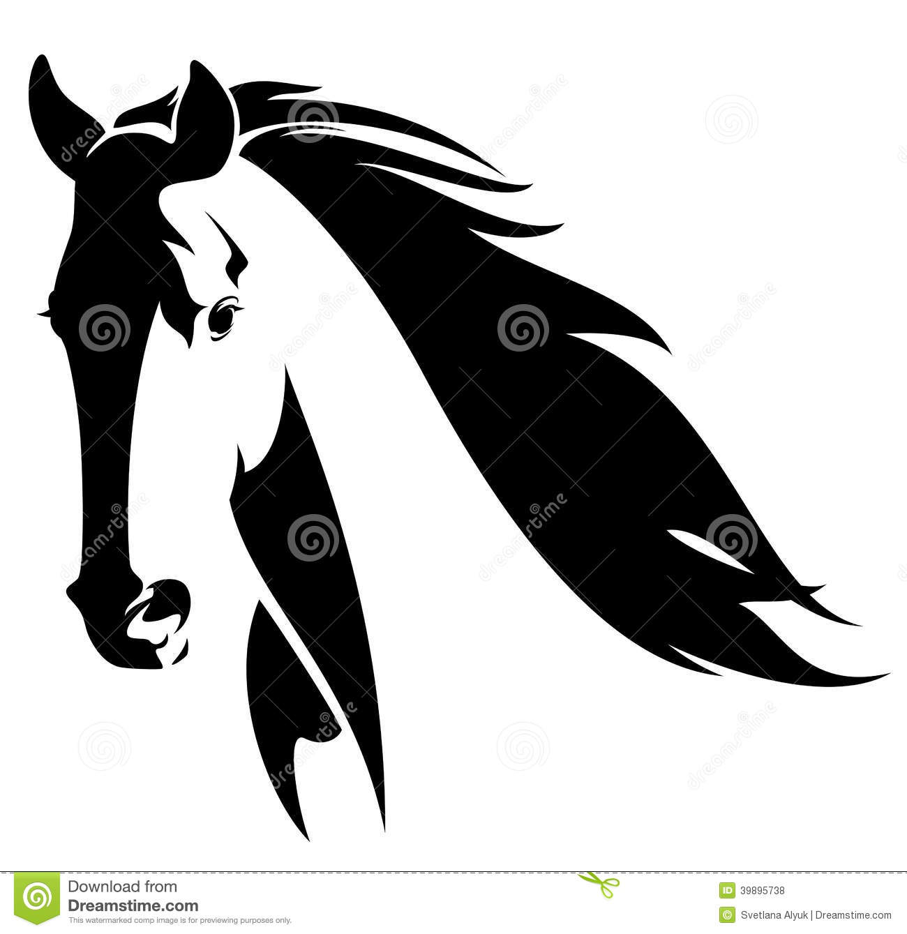 Black and White Horse Head