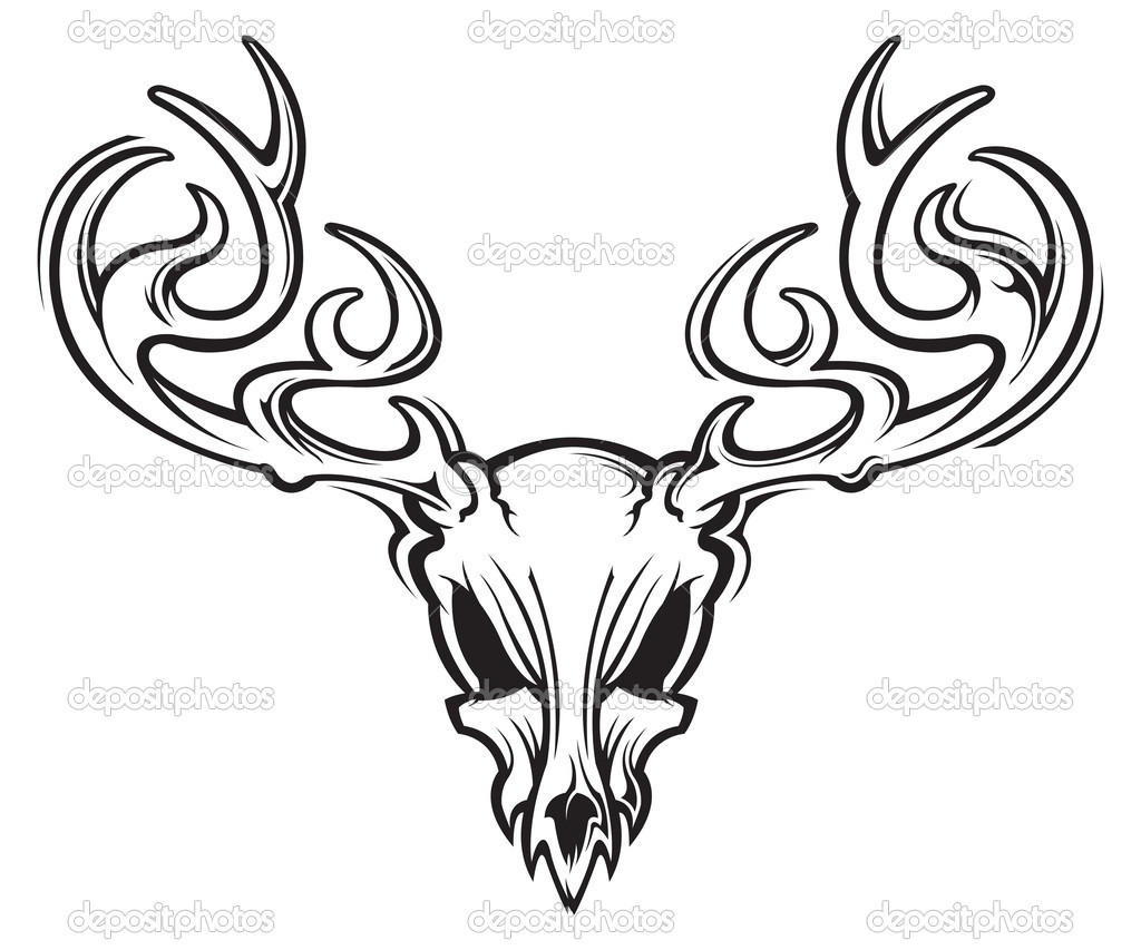 Deer Skull Drawings
