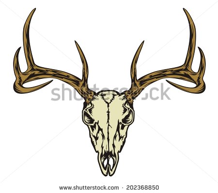 Deer Skull Logo