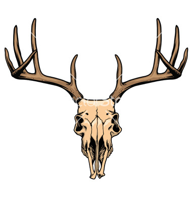 Deer Skull Vector Art
