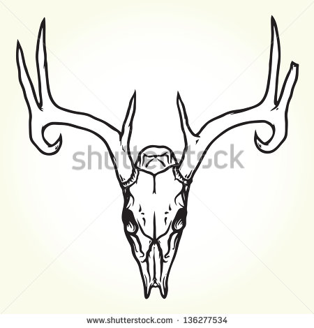 Deer Skull Vector Art