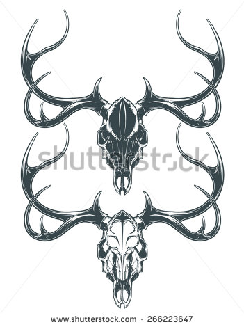 Deer Skull Vector Art