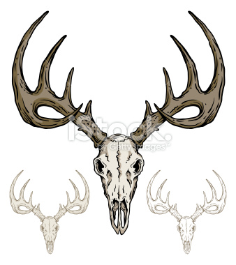 Deer Skull Vector