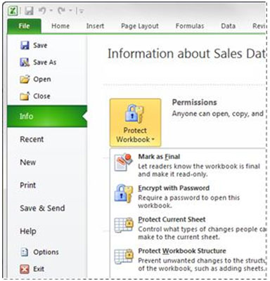 Excel 2010 File Menu