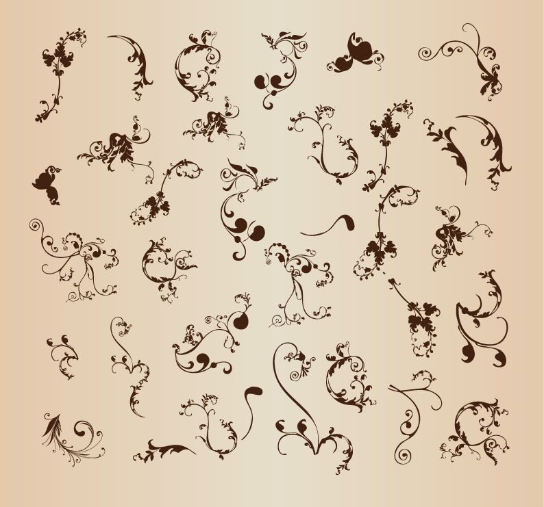 Floral Vector Ornament Set Floral Vector Ornament Set
