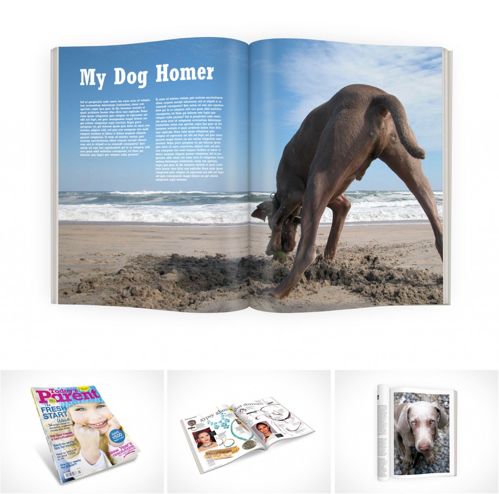 Free Psd Magazine Mockup Template