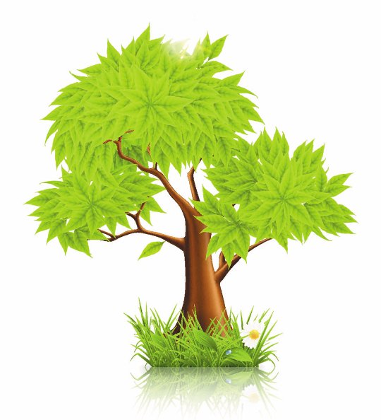 Green Tree Vector