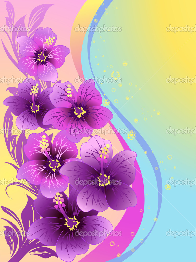 Hibiscus Flower Illustration