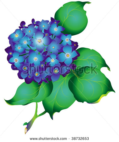 Hydrangea Free Vector Clip Art